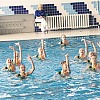 Плавательно-оздоровительный центр ДЕЛЬФИН Плавательно-оздоровительный центр ДЕЛЬФИН