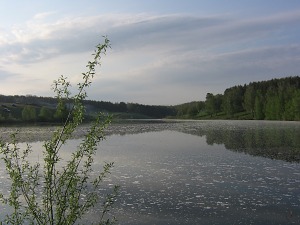 Рыболовный Магазин Клевое Место