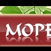 Море суши Море суши