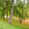 Детский парк имени Николая Щорса Детский парк имени Николая Щорса